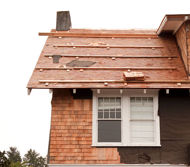 Affordable Siding Repair and Maintenance Services in Afton, WY